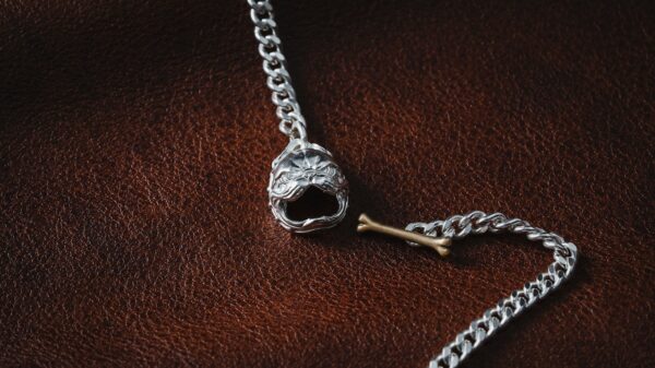 a silver chain with a skull on it